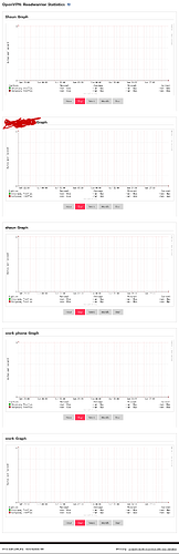 Screenshot 2024-11-03 at 19-58-23 TP-LINK.localdomain - OpenVPN Roadwarrior Statistics