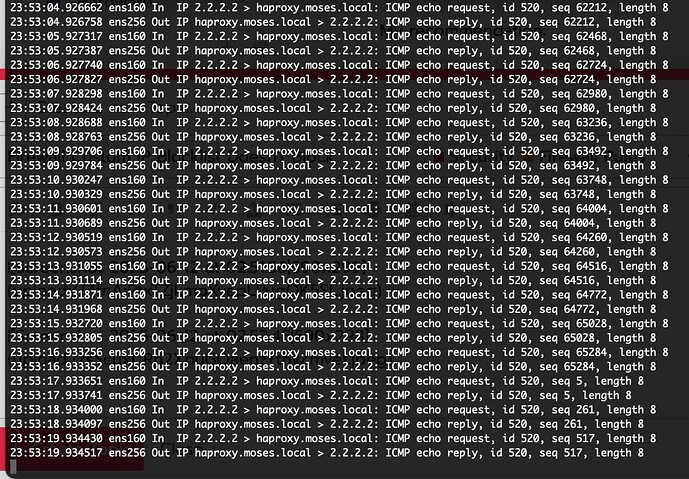Screenshot 2025-06-12 at 02.53.20