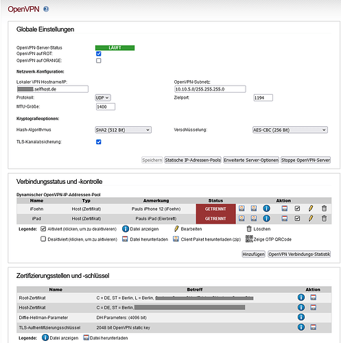 OpenVPN Config 1