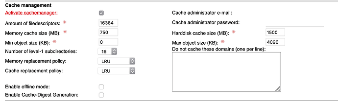 Cache manager
